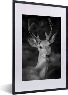 Produktbild von MuchoWow® MuchoWow® Gerahmtes Poster Tierprofil Hirsche in schwarz und weiß 40x60 cm - Poster mit zchwarzem Bilderrahmen - Poster in Rahmen