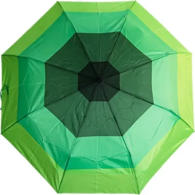 Image de Parapluie avec housse de protection - Parapluie de poche télescopique ø100 cm vert