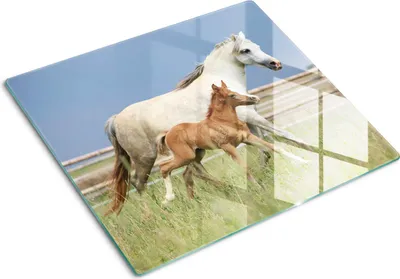 Produktbild von Tulup Glas Herdabdeckplatte Glaskeramikkochfeld-Abdeckung Spritzschutz Glasabdeckplatte Kochplattenabdeckung und Schneidebrett - Einteilig - 60x52 cm Stute mit Fohlen