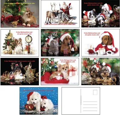 Produktbild von Ansichtskarten Weihnachten Tiere, 100 Stück, Postkarten, Hund Katze, Grußkarte Weihnachtspostkarten Weihnachtskarten