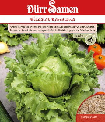Produktbild von Eissalat Barcelona lausfrei | Eissalatsamen von Dürr Samen
