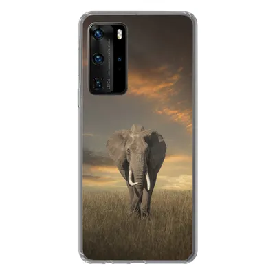 Produktbild von MuchoWow® Handyhülle Schutzhülle Hülle für Huawei P40 Pro Elefant - Tiere - Gras - Natur Silikon Softcase Handy Hülle - Schutz