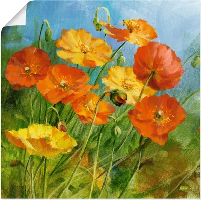 Produktbild von ARTland Poster Sommerfeld II Größe: 40x40 cm