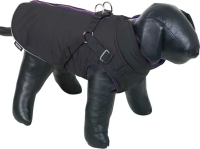 Produktbild von Nobby Hundemantel Sobak 2in1 schwarz/lila, Größe: 20 cm