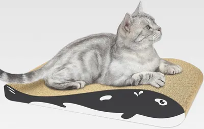 Produktbild von Kratzbrett für Katzen, Kratzunterlage, wendbares Kratzpappe mit Bio-Katzenminze [44 x 23 x 8cm, hochwertiger Karton und Einzigartiges Design]