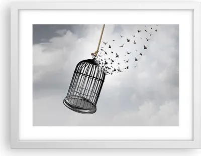 Produktbild von Gerahmtes Poster - Weißer Rahmen - Freiheit Käfig Vögel - 40x30 cm - Wand Bild - Wanddeko - Wandbilder - Kunstposter - Wandposter - Bilderrahmen - Bilder - Kunstdruck - P2WAA40x30-4997