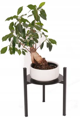 Produktbild von Blumenständer 30 cm Basis für einen Blumentopf Loft Blumentopf Blumenkasten