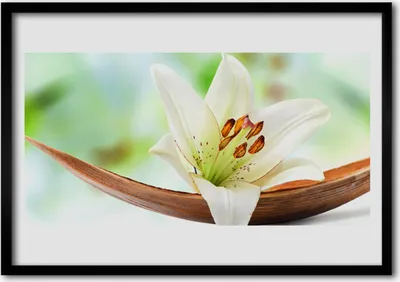 Produktbild von Bild 70x50 MDF-Rahmen Wandkunst Natur Blume Pflanze