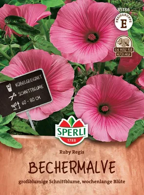 Produktbild von SPERLI Bechermalvensamen Ruby Regis Lavatera trimestris 60 Pflanzen