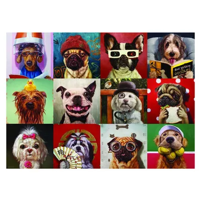 Produktbild von Eurographics Puzzle Lustige Hunde Tiere - 1000 Teile Karton