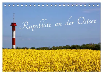 Produktbild von Rapsblüte an der Ostsee (Tischkalender 2027 DIN A5 quer), CALVENDO Monatskalender