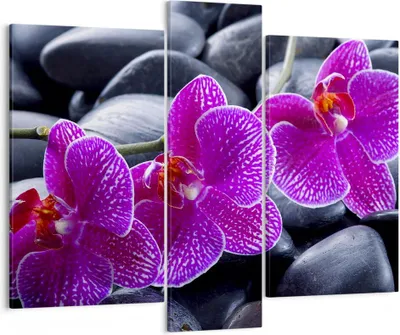 Produktbild von Bild auf Leinwand - Leinwandbild - Blumen Steine Violett Aromatherapie - 95x80cm - Wand Bild - Wanddeko - Leinwanddruck - Bilder - Kunstdruck - Leinwand bilder - Wandkunst - CB95x80-0440