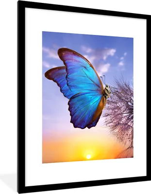 Produktbild von MuchoWow® Gerahmtes Poster Schmetterling - Sonnenuntergang - Löwenzahn - Blau 60x80 cm - Poster mit Schwarzem Bilderrahmen Wandposter Rahmen Foto Bilder - Wohnzimmer - Dekorationen - Prämie