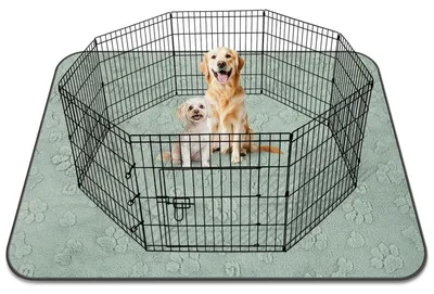 Immagine prodotto di Assorbenti lavabili per cuccioli, tappetini riutilizzabili per cani, dimensioni 208x133 cm, colore verde (1 pezzo)