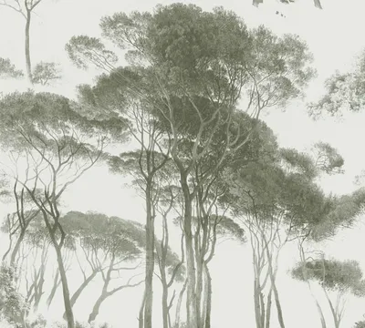Produktbild von A.S. Création Waldtapete History of Art Vliestapete grün weiß 10,05 m x 0,53 m
