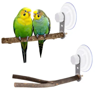 Immagine prodotto di Set di 2 posatoi per uccelli con ventosa, in legno naturale, adatti a piccoli e medi uccelli, lunghezza 25 cm