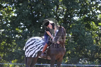 Produktbild von Bucas Riding Rug - zebra