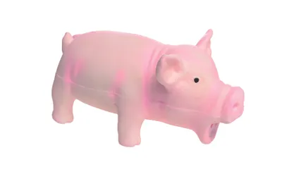 Image de Cochon jouet AniOne en latex