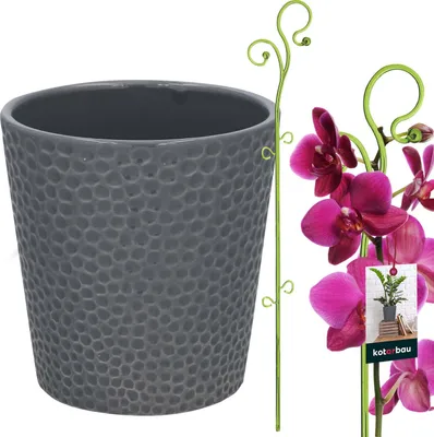 Produktbild von KOTARBAU® Blumentopf Aschefarbe Keramik glasiert 11 cm mit Pflanzenstütze Grün PVC 58 cm Orchideentopf Keramik mit Blumenstütze Rankhilfe Pflanztopf Orchideenstab Stützstab dekorative Pflanzenhalter