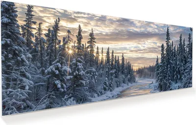 Produktbild von Glasbild 125x50cm in XXL für Wohnzimmer, Schlafzimmer Motiv Winterflusswald