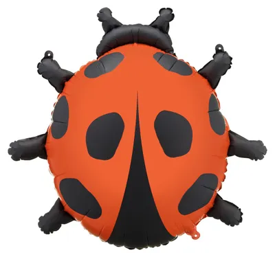 Image de 85x83cm ballon en aluminium coccinelle
