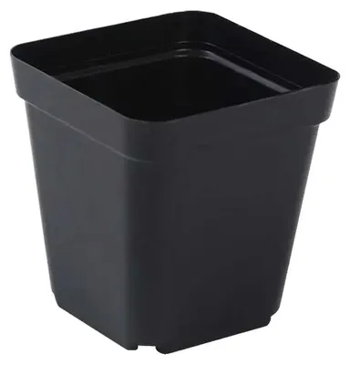 Image de Pots pour semis, 50 pièces, en plastique durable, 5,5 cm. Quantité : 50