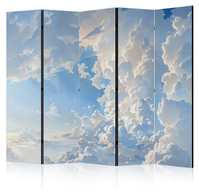 Immagine prodotto di Pannello divisorio a 5 ante, stampato su un solo lato, pieghevole, motivo "Cielo pieno di nuvole", dimensioni 225 cm x 172 cm