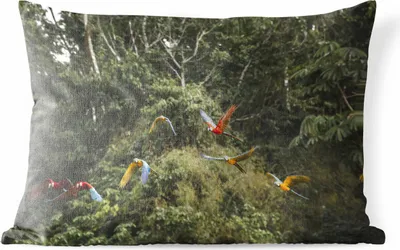Produktbild von MuchoWow® Outdoor Kissen - Papageien - Fliegen - Wald - 60x40 cm - Wetterfest - Lounge Kissen - Zierkissen - Kissen für Innenräume