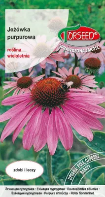Produktbild von Purpurroter Sonnenhut, Echinacea purpurea 0.2g - Torseed