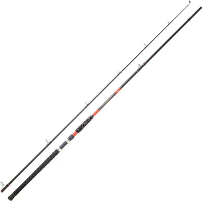 Zdjęcie produktu dla Wędka Daiwa Megaforce Big Fish do łowienia sumów  2,90 m / 100–300 g  2,90 m
