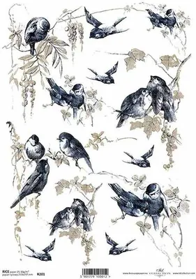 Produktbild von ITD Reispapier Decoupage Bastelpapier Softpapier Serviettentechnik, Vögel R201