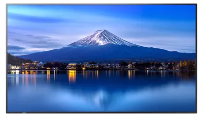 Obrázok produktu pre Sharp MultiSync P556, Dizajn stánku, 139,7 cm (55"), LCD, 3840 x 2160 px