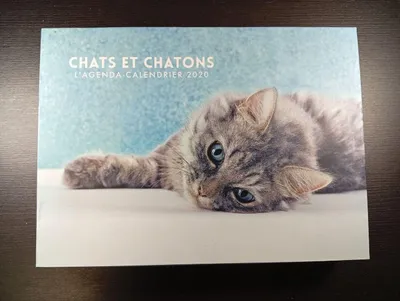 Image de Chats et Chatons L'Agenda-Calendrier 2020