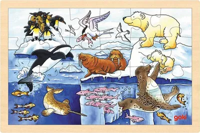 Zdjęcie produktu dla Goki 57889, 24 szt., Animals, 3 lat(a)