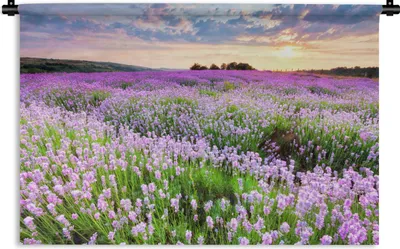 Produktbild von MuchoWow® Wandteppich Wandbehang Lavendel - Blumen - Sonnenuntergang - Lila - Wiese 90x60 cm Tapisserie Dekoration Wandtuch - Wandskulpturen - Bildteppich