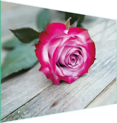 Image de Planche à découper Plaque de cuisson multi-verre 30x22 cm Rose Bois