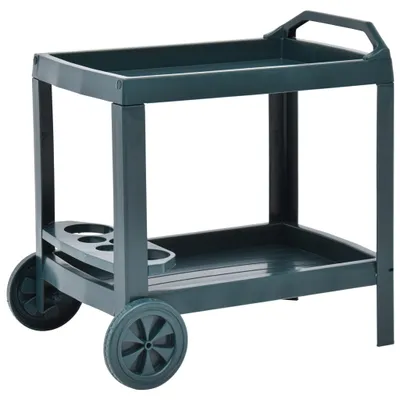Produktbild von The Living Store Getränkewagen Grün 69×53×72 cm Kunststoff