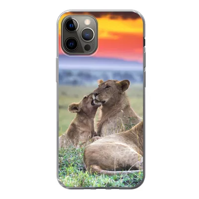 Produktbild von MuchoWow® Handyhülle Schutzhülle Hülle für iPhone 13 Pro Löwen bei Sonnenaufgang Silikon Softcase Handy Hülle - Handy-Tasche