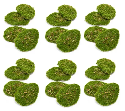 Produktbild von 24er Set künstliches Moos, Dekomoos, Moos Platten je 4 Stück im Beutel Emerald