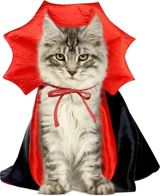 Produktbild von Welpe Katze Halloween Kleidung Outfits,Haustier Kostümumhang,Haustier Kleidung Lustige Anime Cosplay Kleidung,für Welpen,kleine Hunde Katzen Outfits