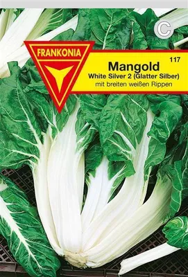 Produktbild von Mangold Glatter Silber