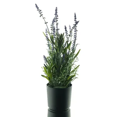 Produktbild von GASPER Lavendel Blauviolett im Kunststofftopf 43 cm - Kunstblumen