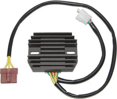 Immagine prodotto di Controllore di carica ElectroSport ESR 916
