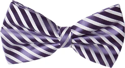 Produktbild von Fabio Farini - 1 Stück Violette Herren Fliegen - Männer Querbinder Vorgebunden Bowtie Streifen - Lila/Weiß - Iris Illusion/Sweet Bianca