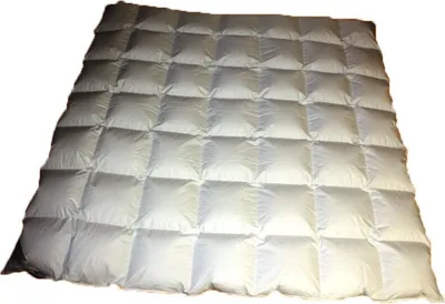 Produktbild von Betten Hofmann Sibiria exclusiv Daunendecke Daunenbett 7x7 200x200 sibirische Wildgans