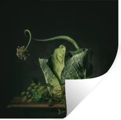 Produktbild von MuchoWow® - Wierderverwendbar - Selbstklebend