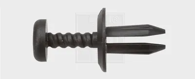 Image de 10x rivets SWGAutomotive 50021216