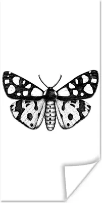 Produktbild von MuchoWow® Poster Schmetterling - Vintage - Schwarz und weiß 80x160 cm - Kinderzimmer