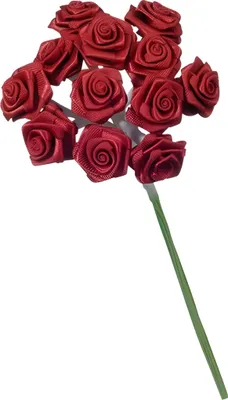 Produktbild von KNORR PRANDELL 216547180 Diorrose 10 x 15 cm dunkelrot