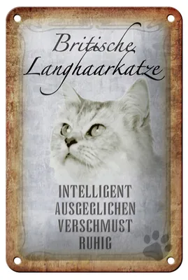 Produktbild von Blechschild Spruch 12x18cm britische Langhaarkatze Schild